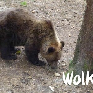 Stichting BEARS in MIND image 2