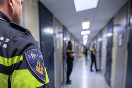 Verdachte aangehouden na dodelijk steekincident