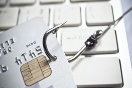 Ontwikkelaar phishing software opgepakt