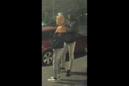 Gezocht: Diefstal op Dotterlaan in Arnhem