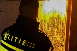 OM eist zes jaar tegen medehoofdverdachte henneporganisatie