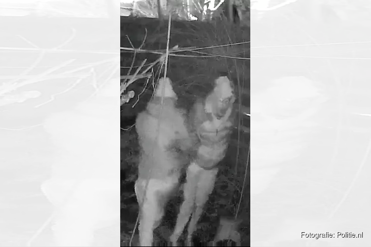 Gezocht: Woninginbraak – Meliskerkestraat – Arnhem