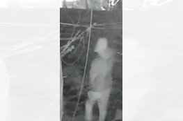 Gezocht: Woninginbraak – Meliskerkestraat – Arnhem