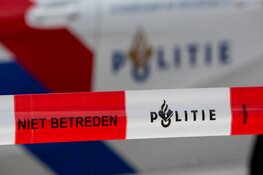 Kuilen in bosperceel Achterhoek