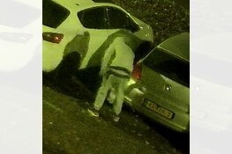 Gezocht: Brandstichting Vijverlaan