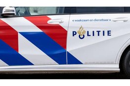 Verdachten mogelijk te linken aan meerdere zaken met nepagenten