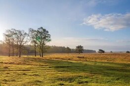 Gevolgen uitspraak Raad van State over intern salderen