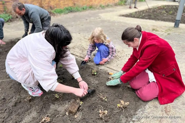 Nieuwe wijkgroenplannen in vijf Arnhemse wijken: meer groen, betere leefomgeving