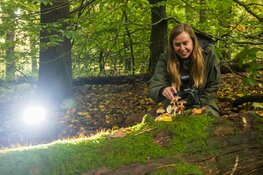 Gelderse Natuurfotowedstrijd zoekt mooiste natuurfoto