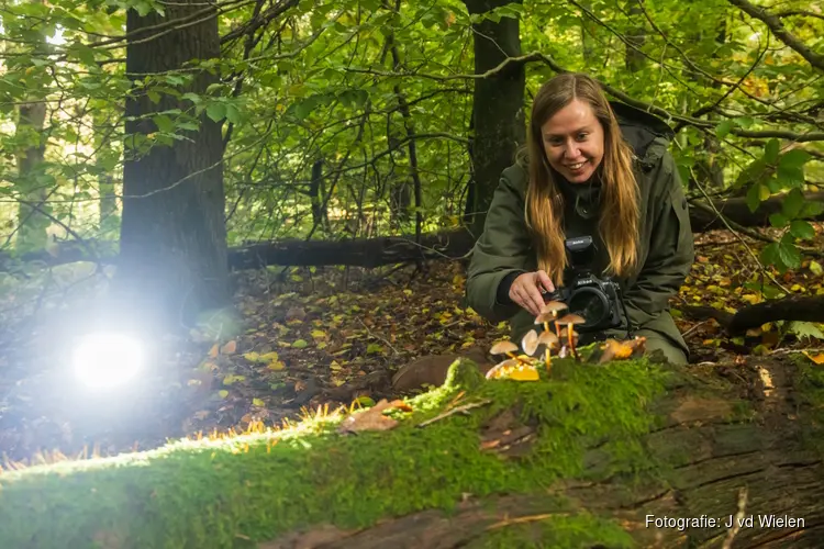 Gelderse Natuurfotowedstrijd zoekt mooiste natuurfoto
