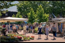 Hitte aanpakken: samen sterk voor een koelere provincie
