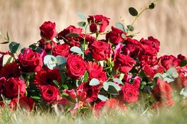 Rouwwerk met persoonlijke aandacht