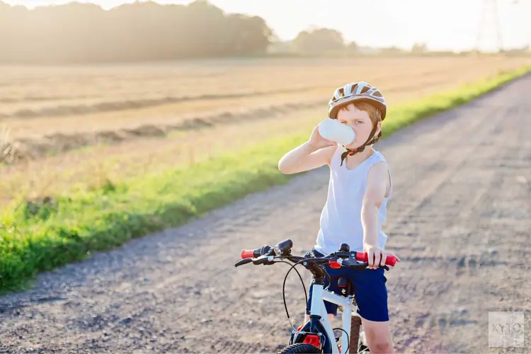 Wat is het verschil tussen kunststof, aluminium en eco-bidons?