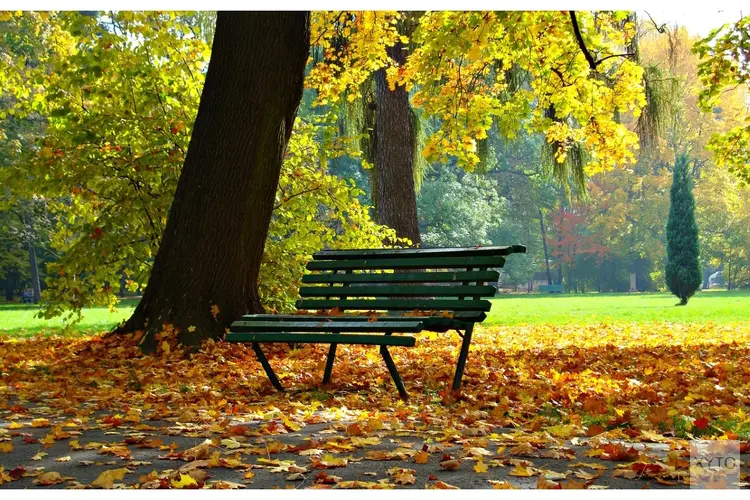 Koudere nachten, overdag rustig herfstweer