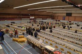 63e Gelderlandshow in de Roskam in Kapel Avezaath
