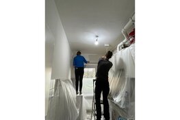 Handige studenten helpen met opknappen woning