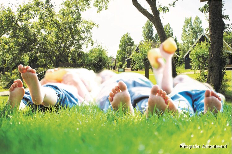 Meivakantie vol belevenissen bij Museum BroekerVeiling, met bijzondere vogelexcursies door het Oosterdelgebied