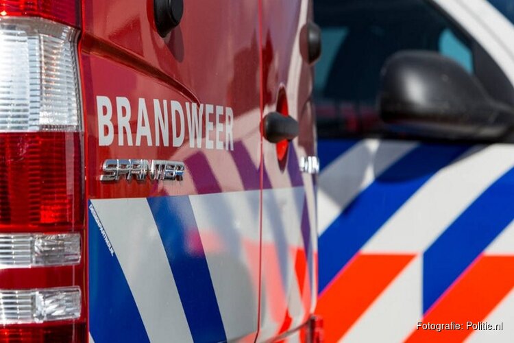 Auto door brand verwoest op Vosdijk in Arnhem