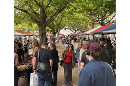 Antiek, Curiosa en Brocante Fair op Landgoed Middachten