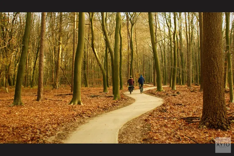 Provincie stemt over einde stikstofslot Veluwe